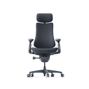 Dynamic Ergonomic Chair: FlexFit Backrest with Smart Lumbar Massage🪑💡