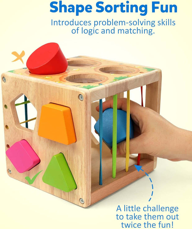 Wooden Shape Sorter Cube Activity Toy 🎯
