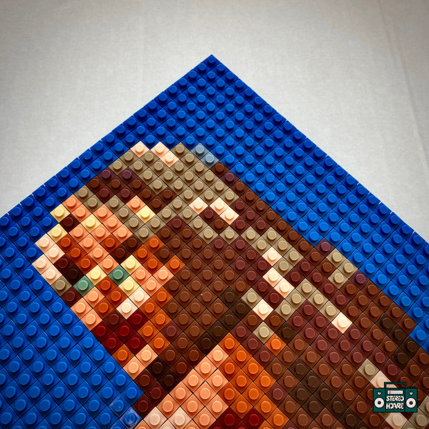 Juno Buildable Brick Art
